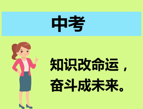 wise disk cleaner 绿色版